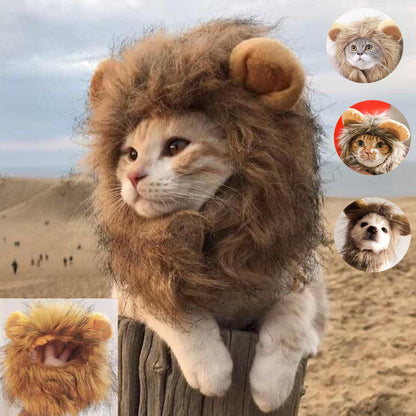 Lion Mane Cat Costume